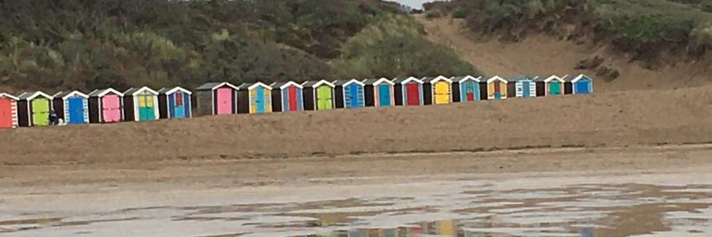 Mandy Grogan QN 💙 banner