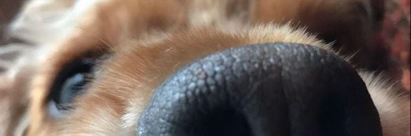 Lucy47x's profile banner image