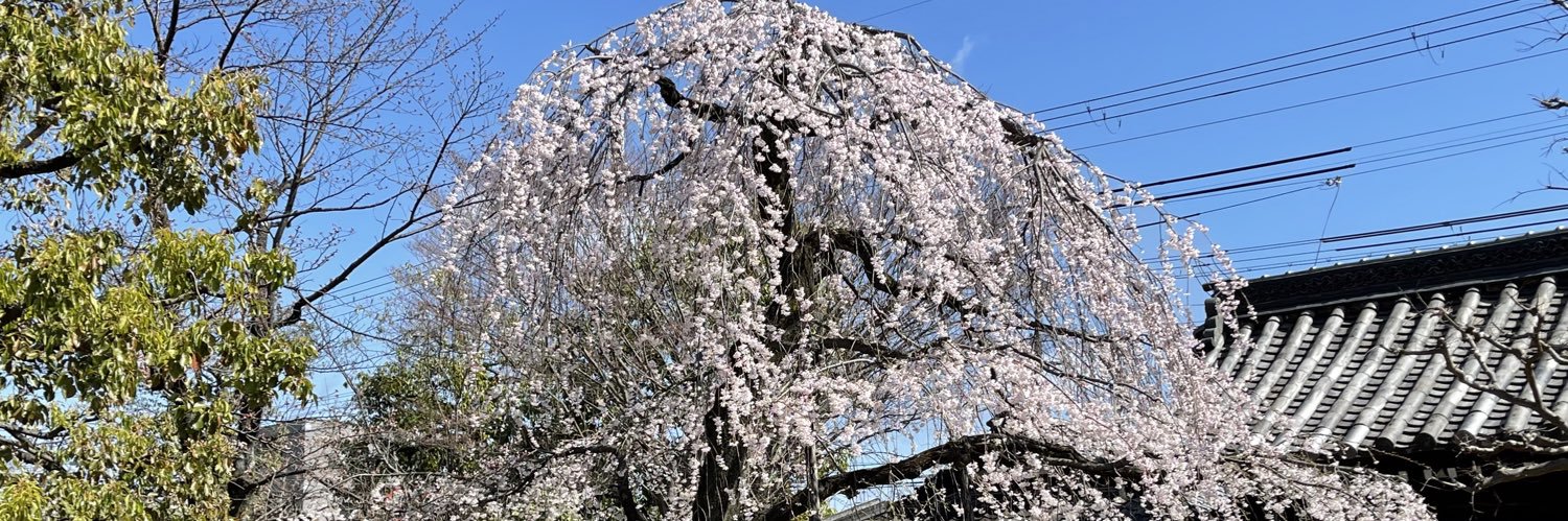 ゆゆっこ banner