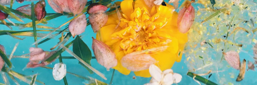 sarahream13's profile banner image