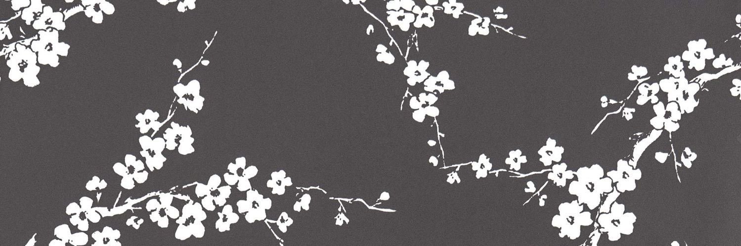 creed banner