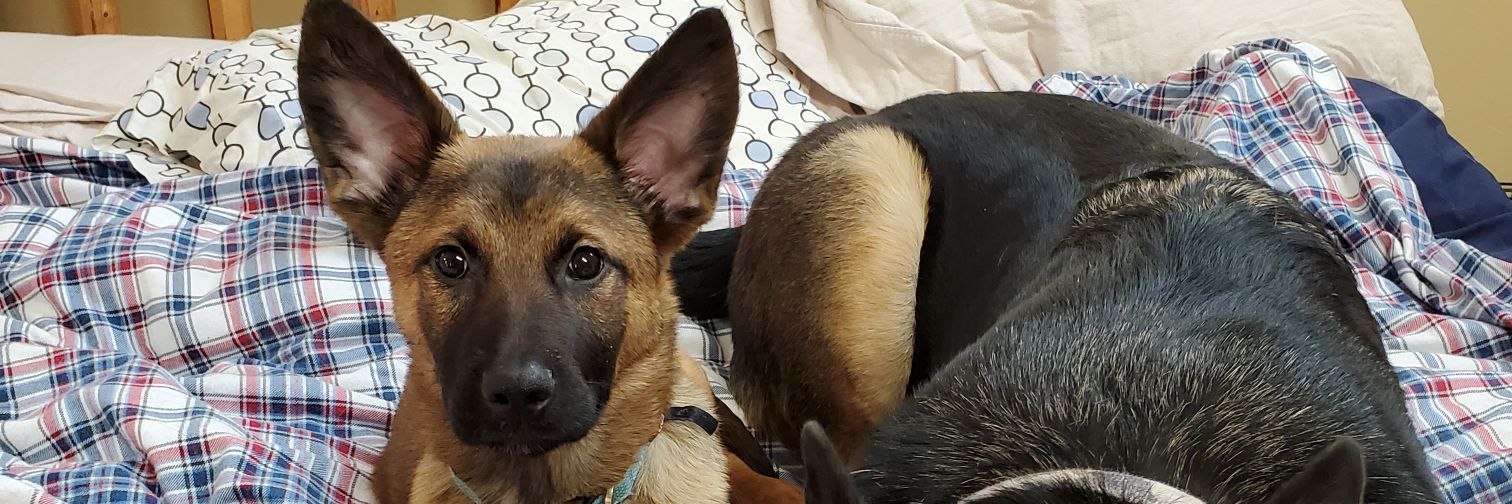 Jeffery Limle banner