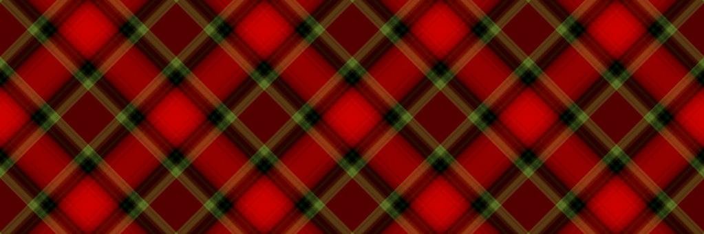 Dunedin Highland MS banner