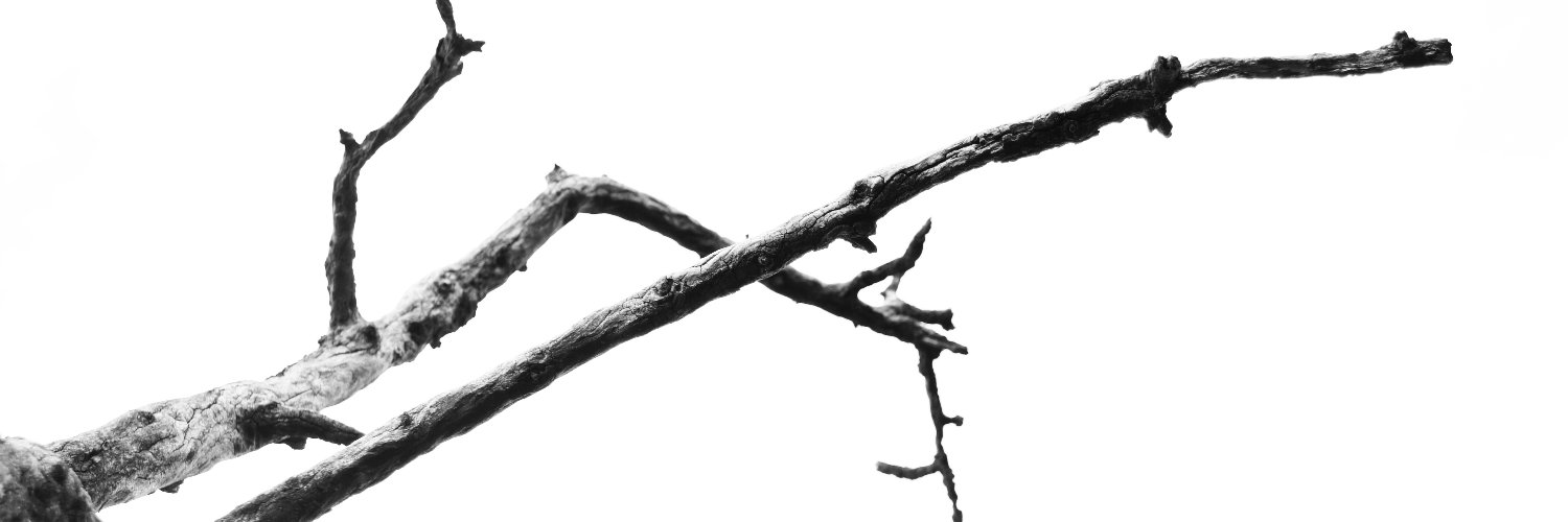 JOHN_PONCE_'s profile banner image