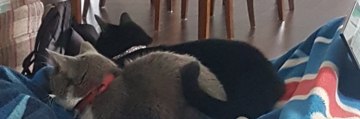 Kbudz44's profile banner image