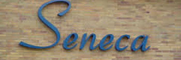 Principal Salvia banner