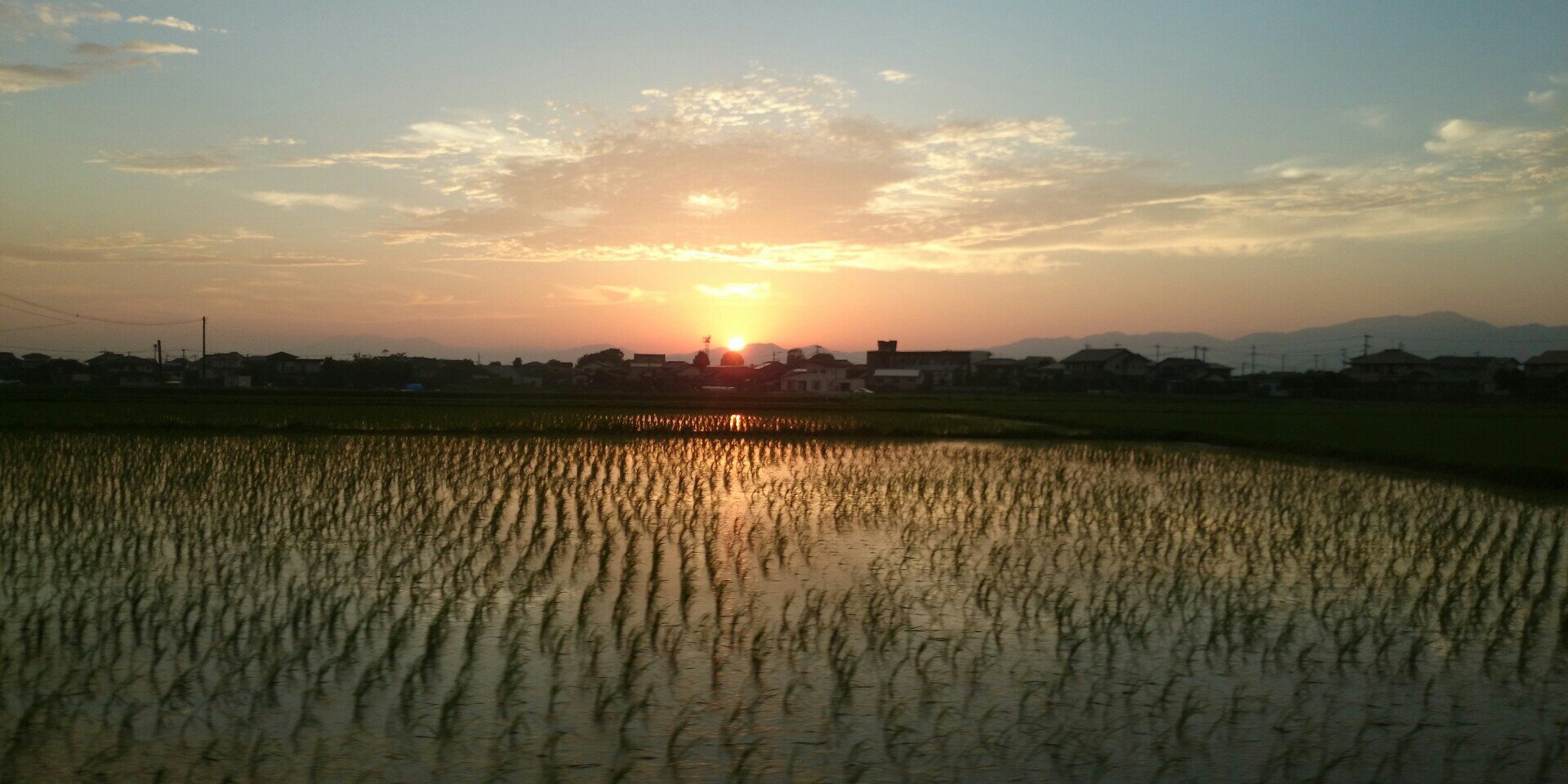 yasutakehon's profile banner image