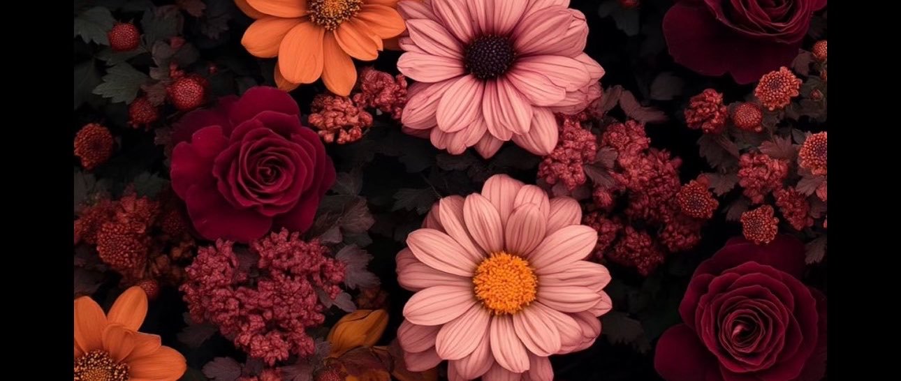 mayraa_soria's profile banner image
