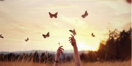 floralsheets's profile banner image