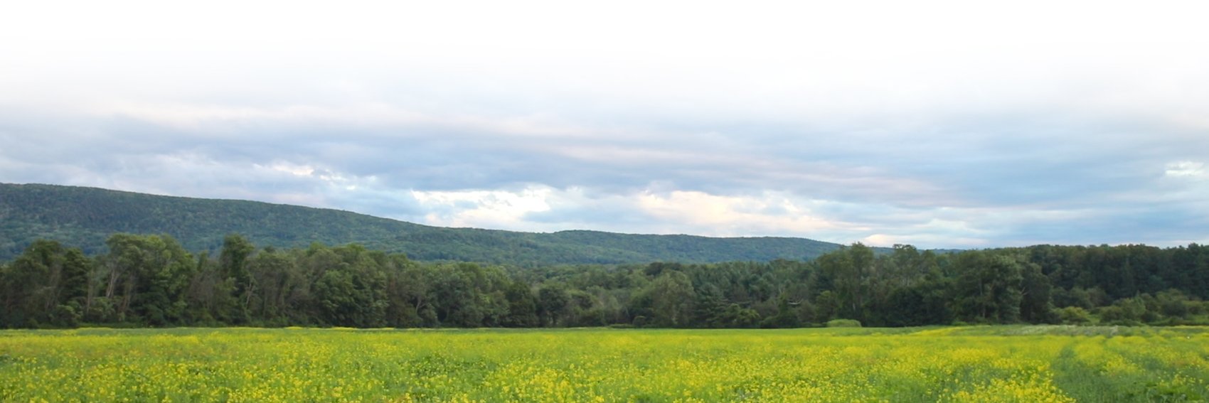Ultrawellness Center banner