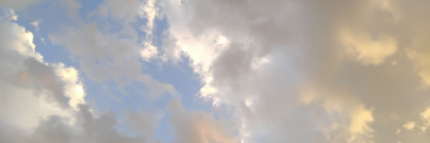 moniteismo's profile banner image