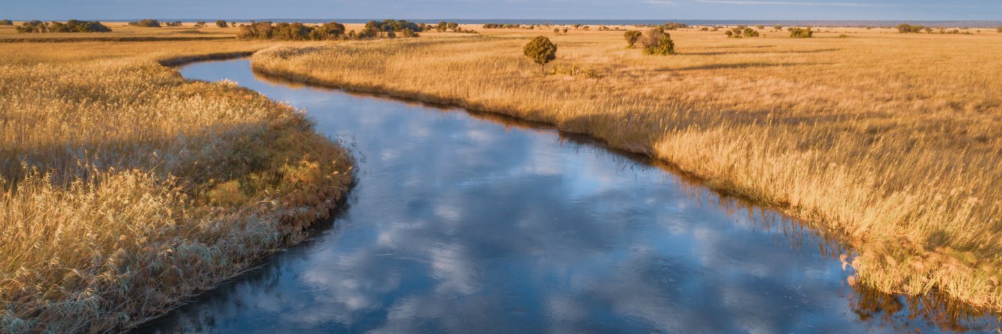 Into the Okavango banner
