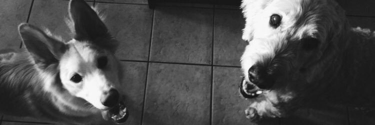 ericmueller96's profile banner image