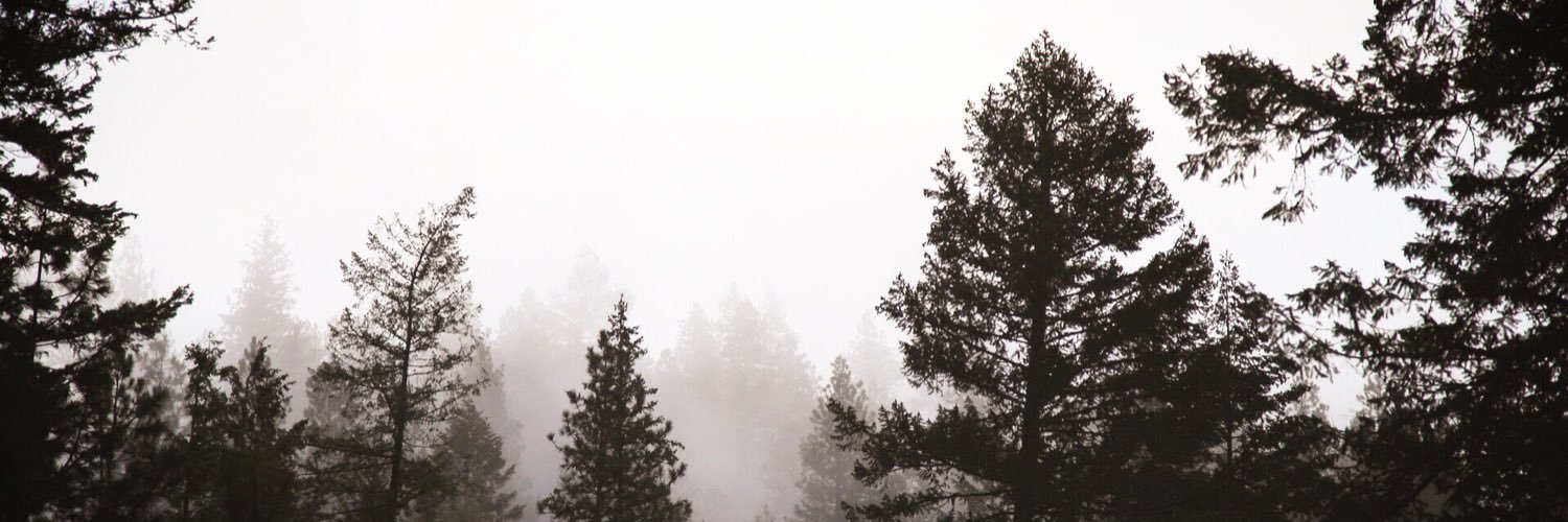 JacobBenso's profile banner image