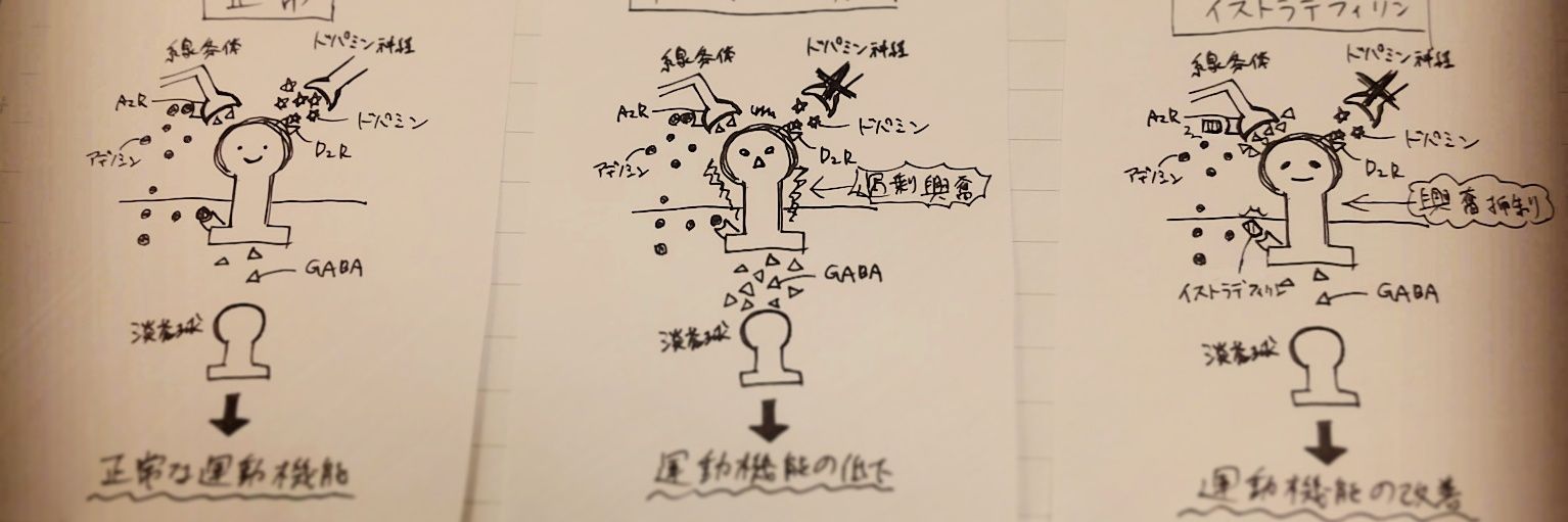 agehasouu's profile banner image