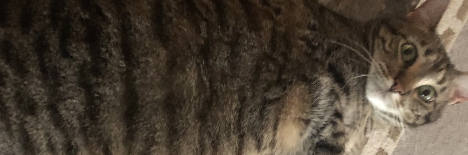Jenksy9's profile banner image