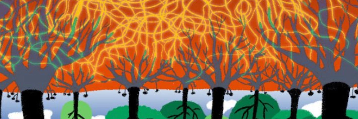 fede_angl's profile banner image