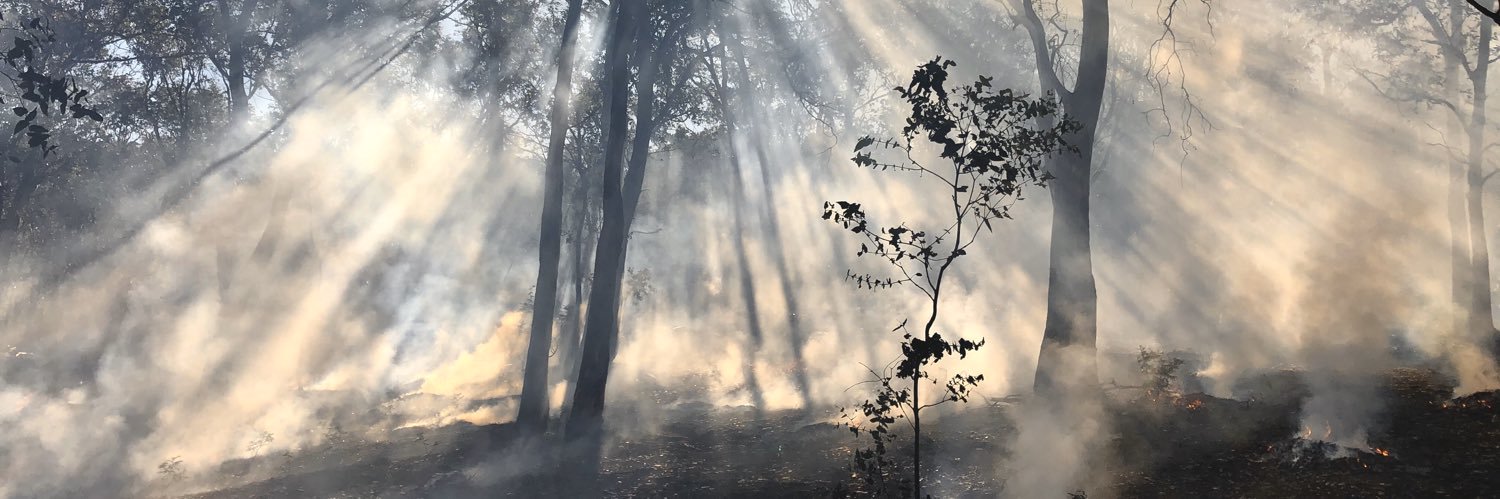 @jimbob@aus.social banner