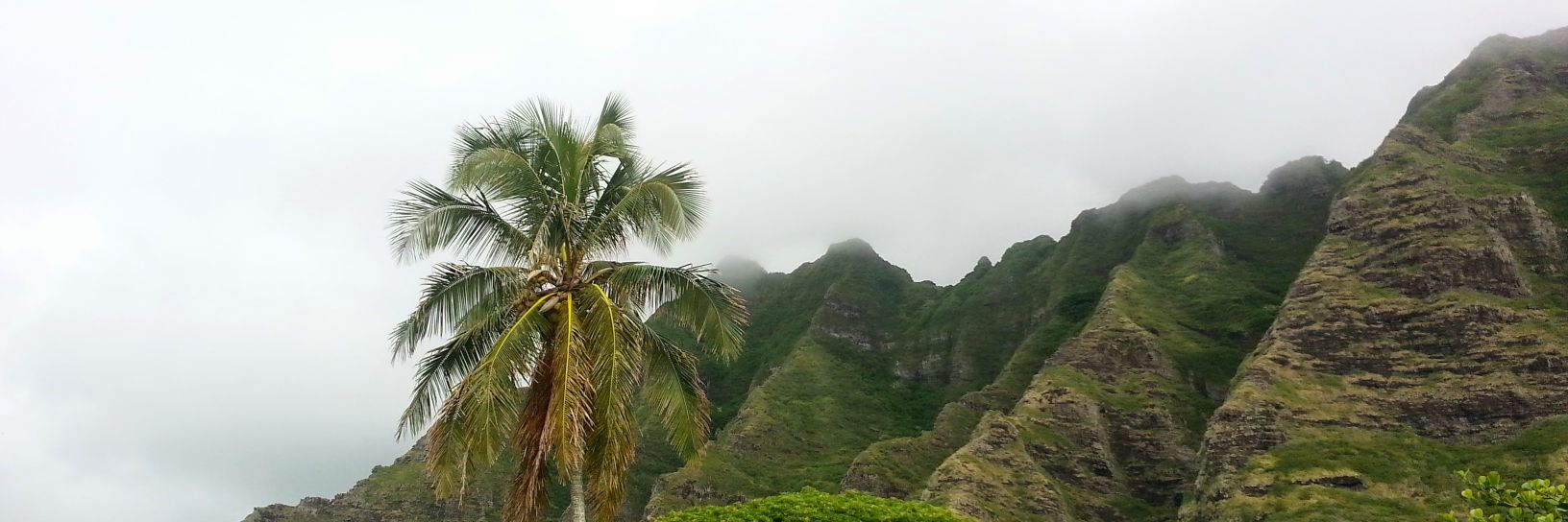 Lester A Cerana banner