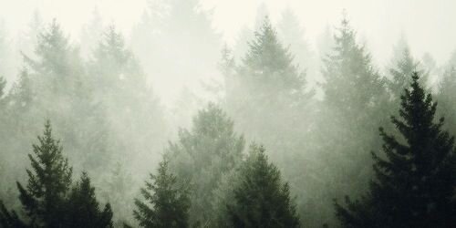 xjasongdrs's profile banner image
