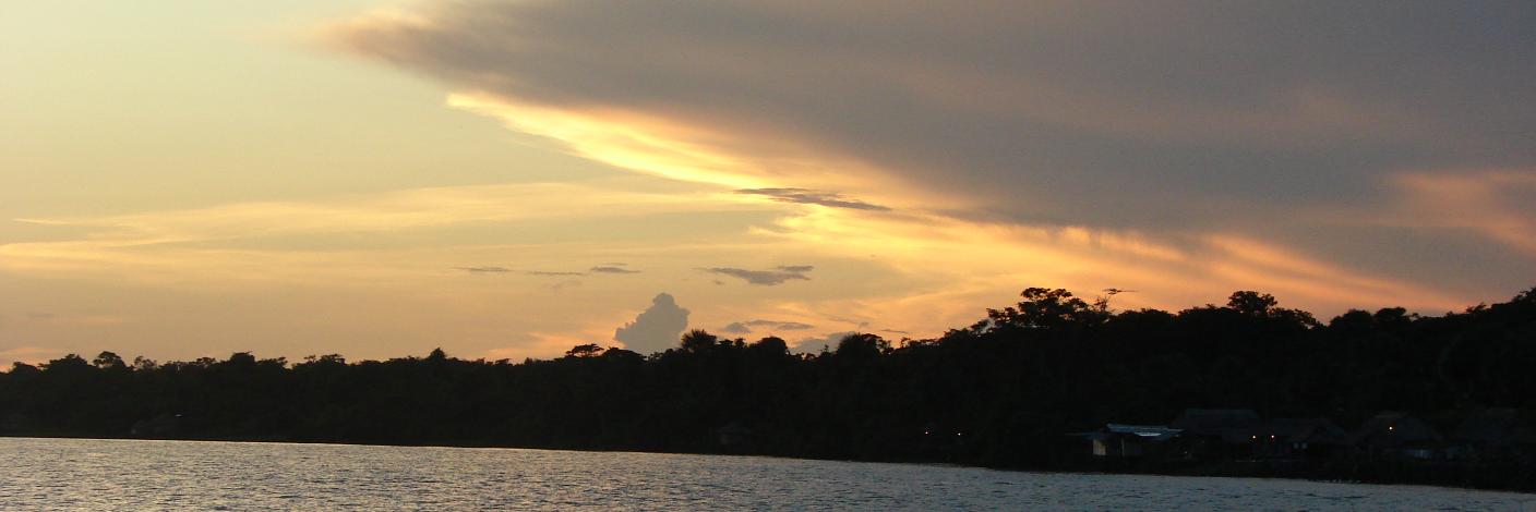 Adolfo Girón banner