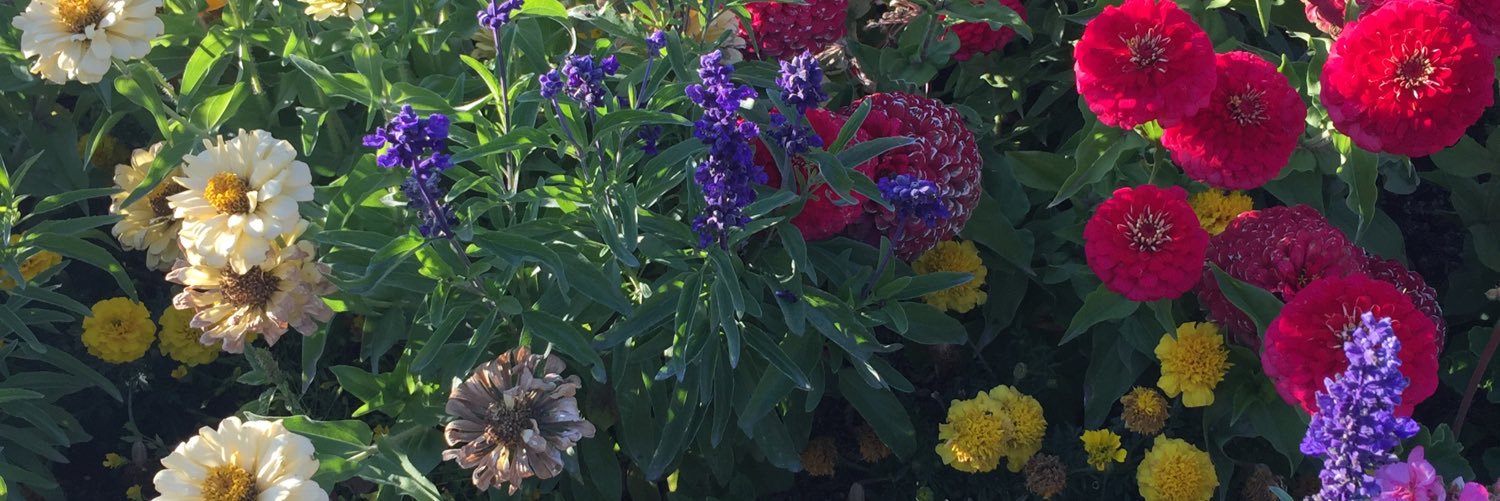 mayagoshai's profile banner image