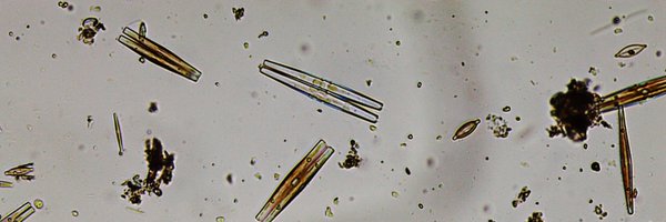 BCPSSci Profile Banner