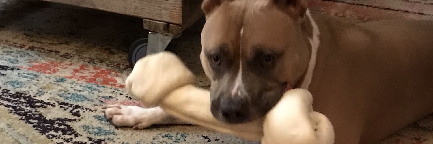 #ETHmustache & #TRAC star banner