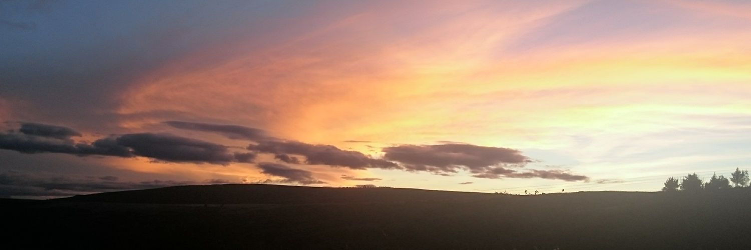 ginitafer's profile banner image