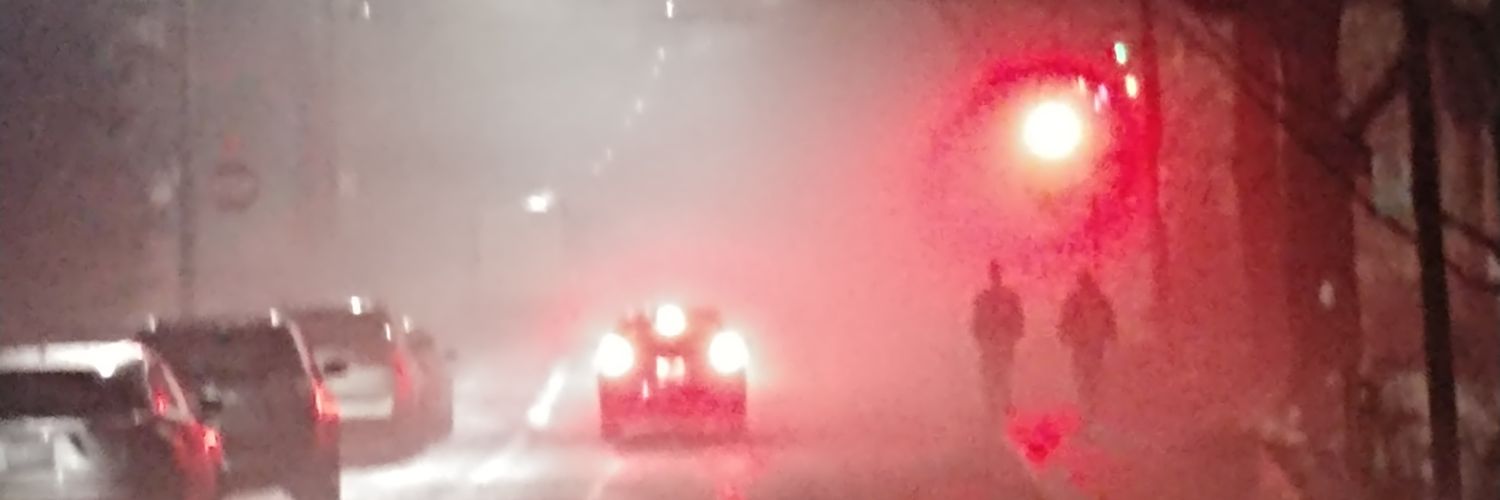 Yertle_'s profile banner image
