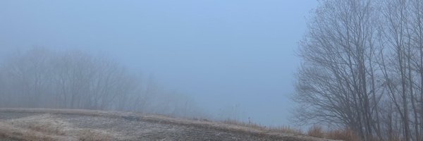 n_chun Profile Banner