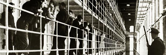 PeopleNotPrison's profile banner image