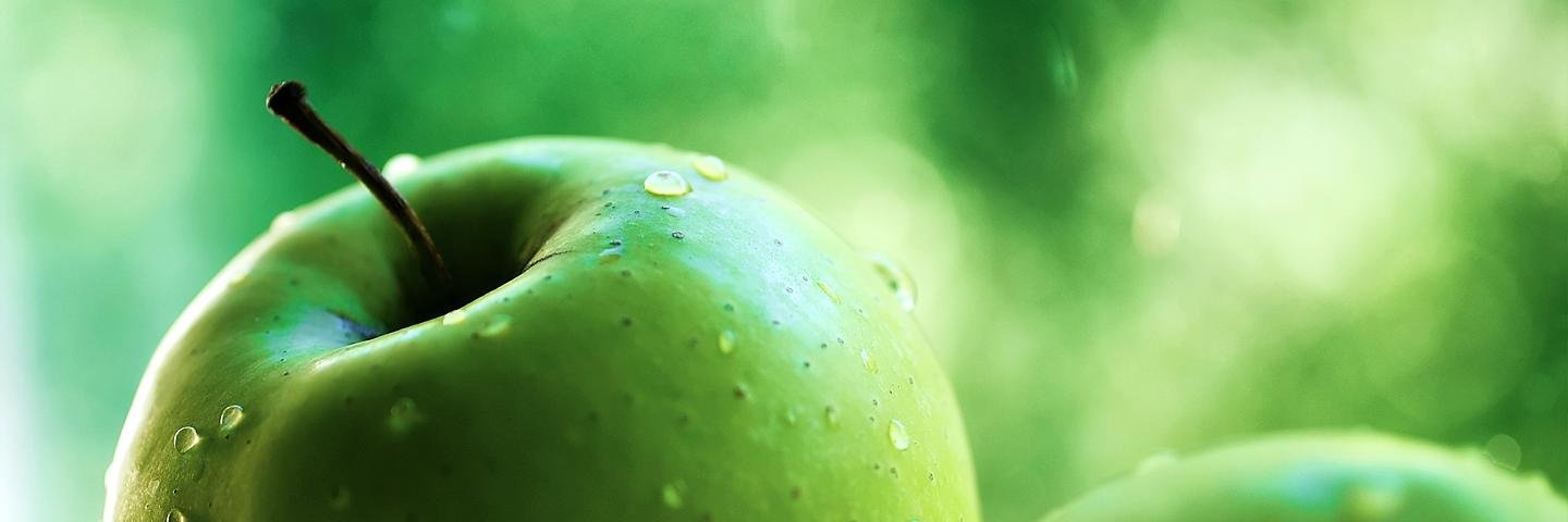 vegetarianorock's profile banner image