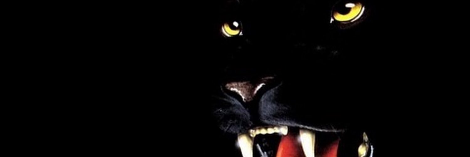 zackarm's profile banner image
