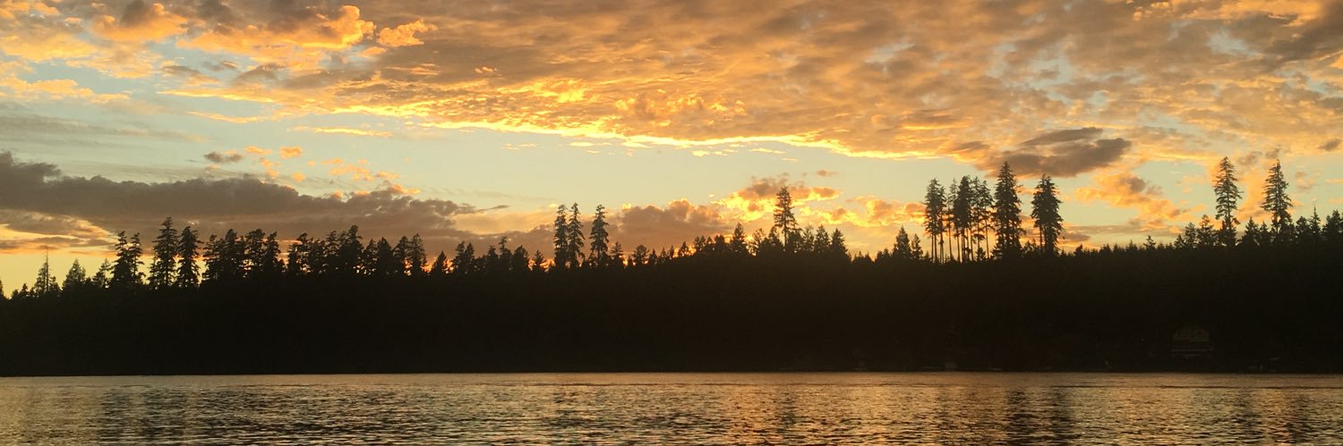 mewatson's profile banner image