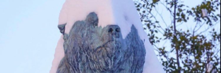 pbg8's profile banner image