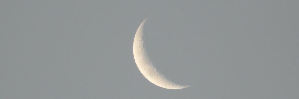 naaeidt's profile banner image