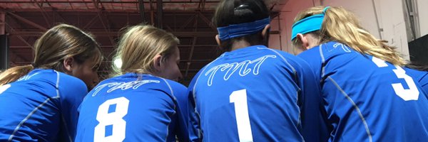 LaineePyles Profile Banner