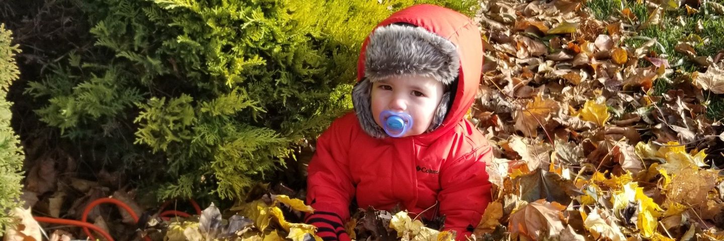 Nelson Correia banner