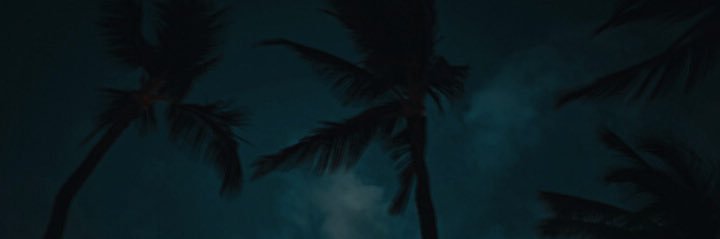 haIesbush's profile banner image