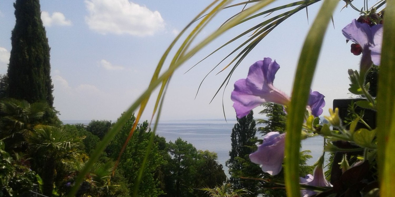 Bianca Kaustrup banner