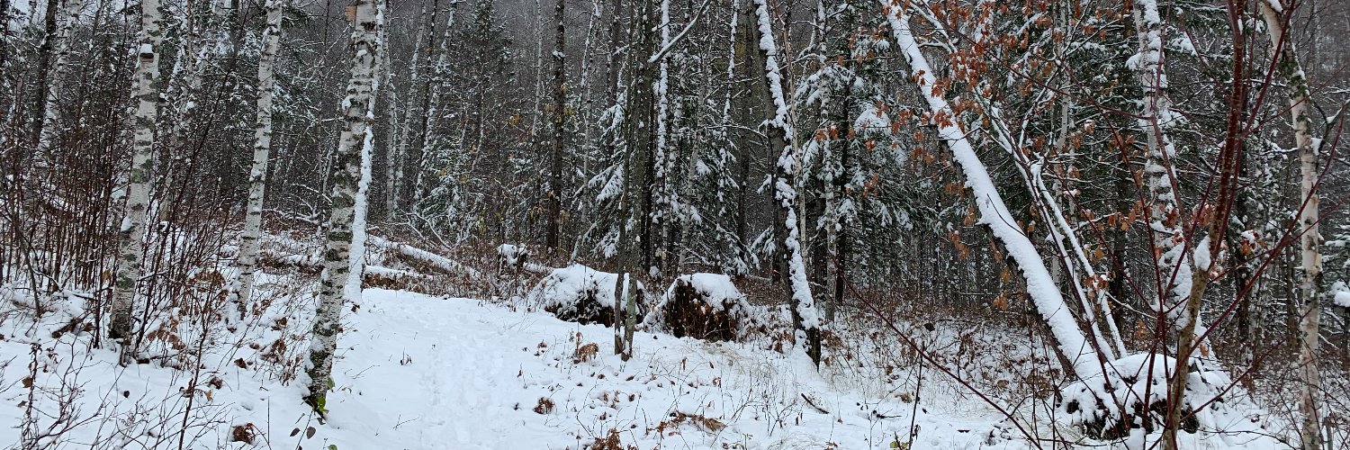 AllisonJuda's profile banner image