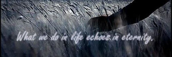 n4r1B Profile Banner