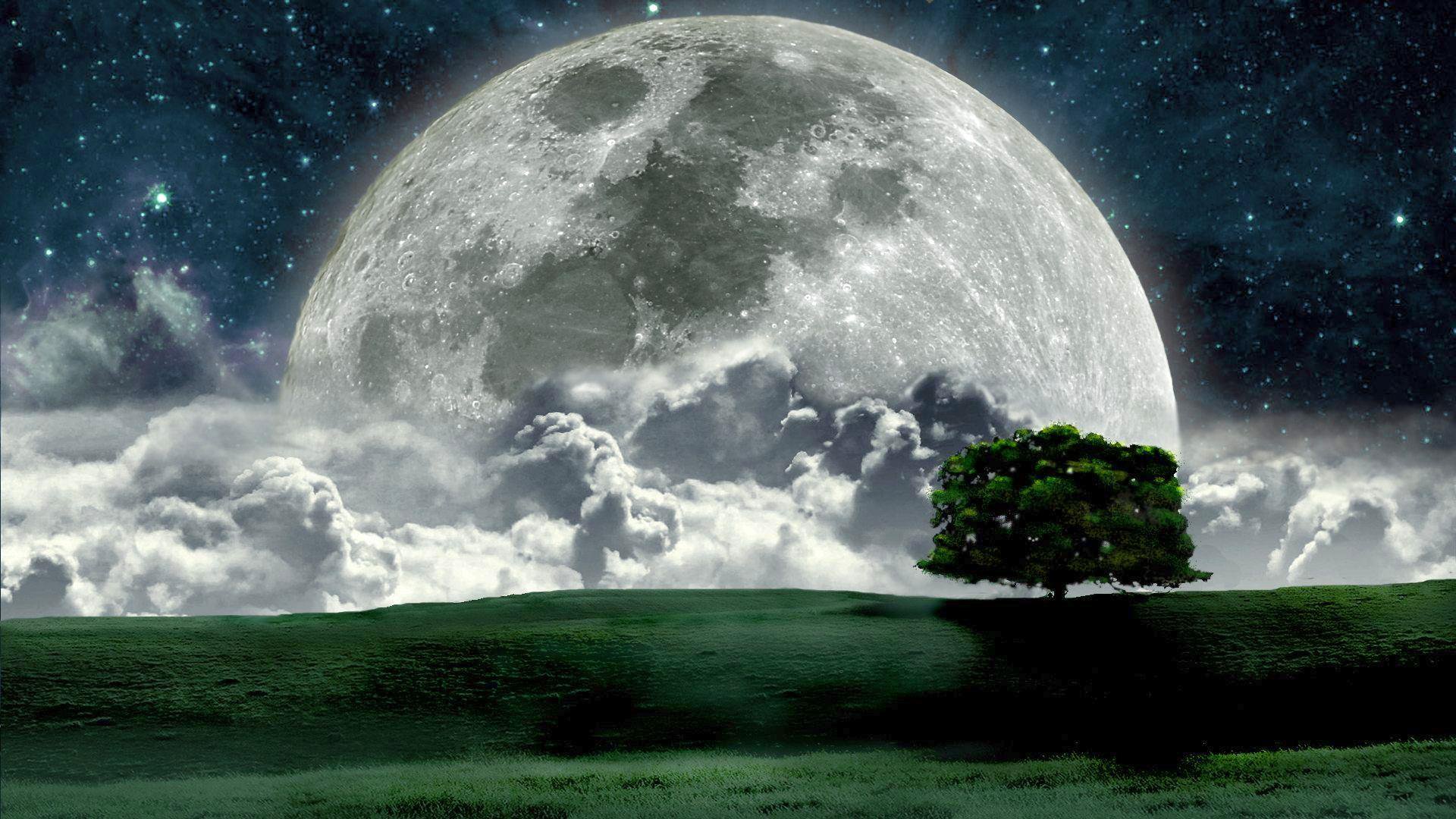 bkfpgllqij's profile banner image