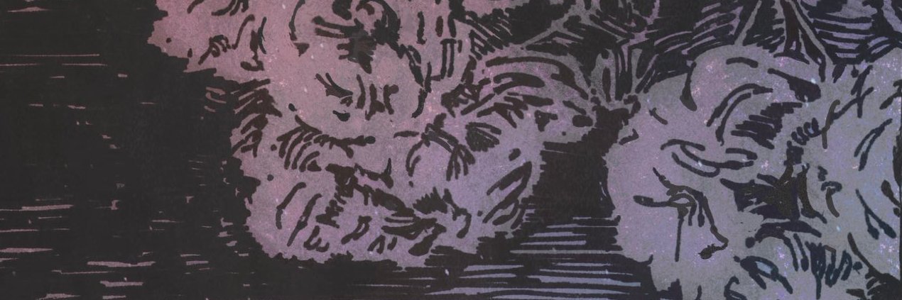 windshine🗡 banner