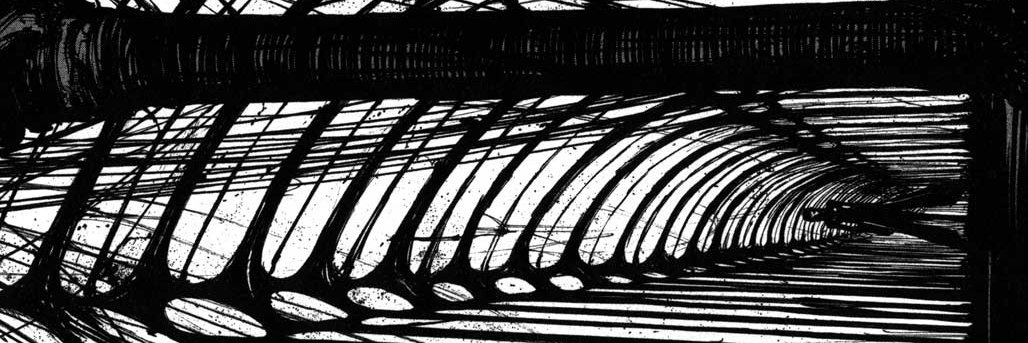 windshineorrain's profile banner image