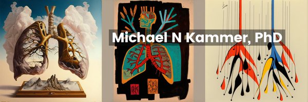 Mnkammer Profile Banner