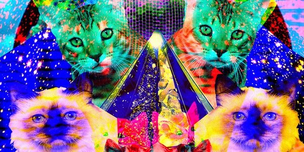 thisdopechick's profile banner image