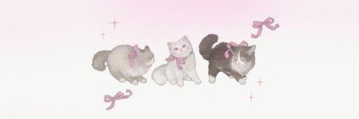 enhayati banner