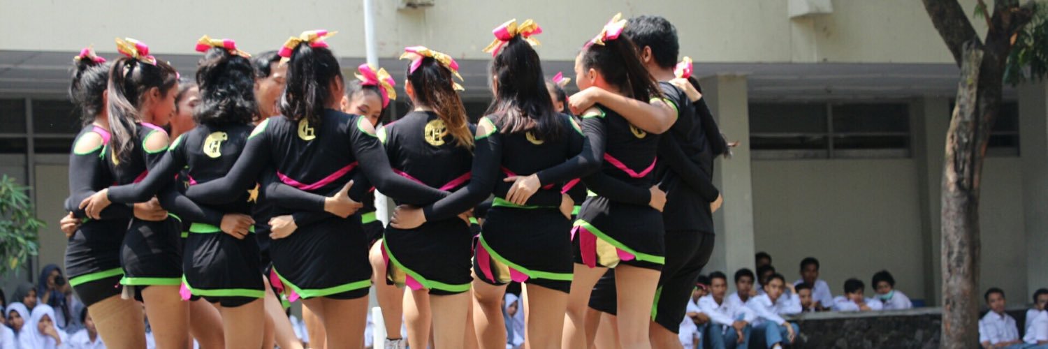 CHAMELEONCHEERLEADER banner